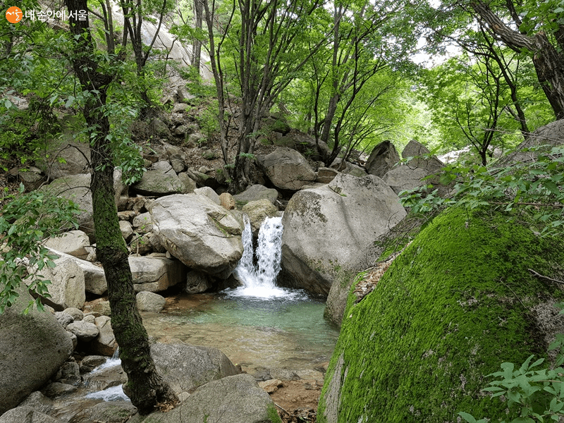 수락산 계곡