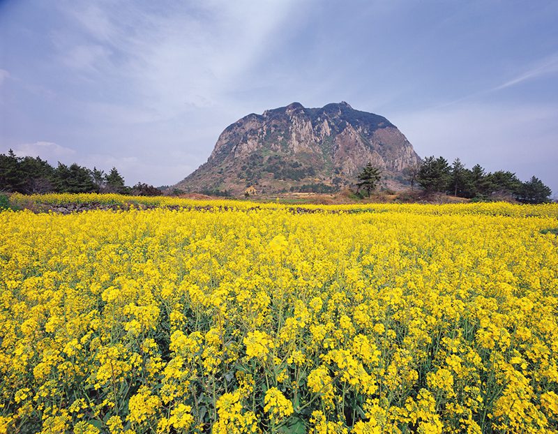 제주도, 산방산