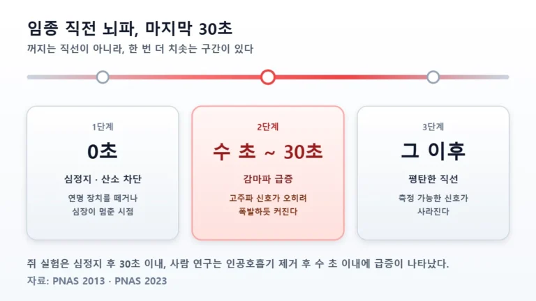 임종 직전 뇌파 3단계