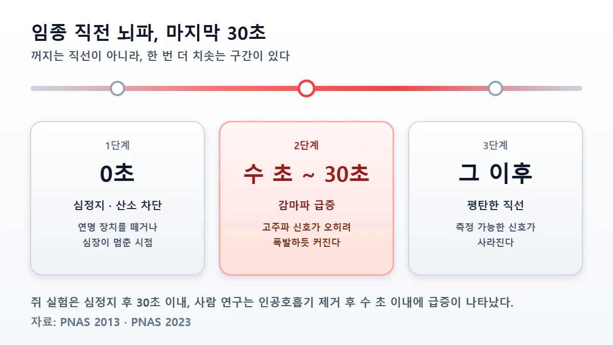 임종 직전 뇌파 3단계