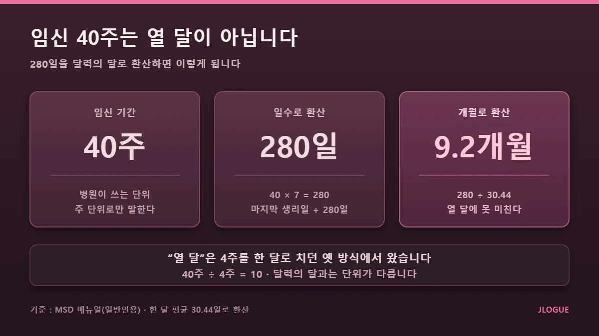 임신 몇주차 40주를 개월로 환산한 비교