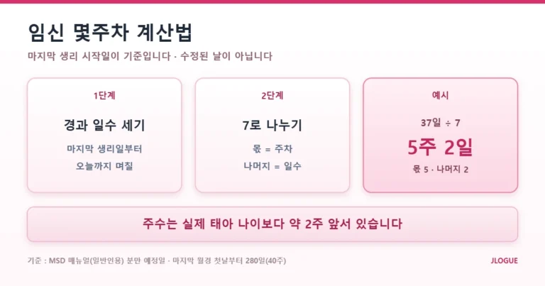 임신 몇주차 계산법 2단계 도해