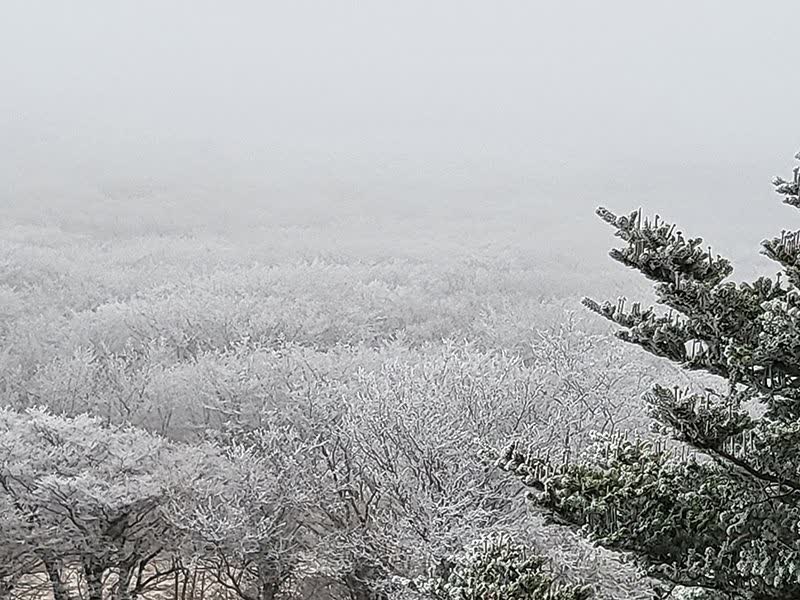 제주도, 설경, 1100고지, 제주겨울