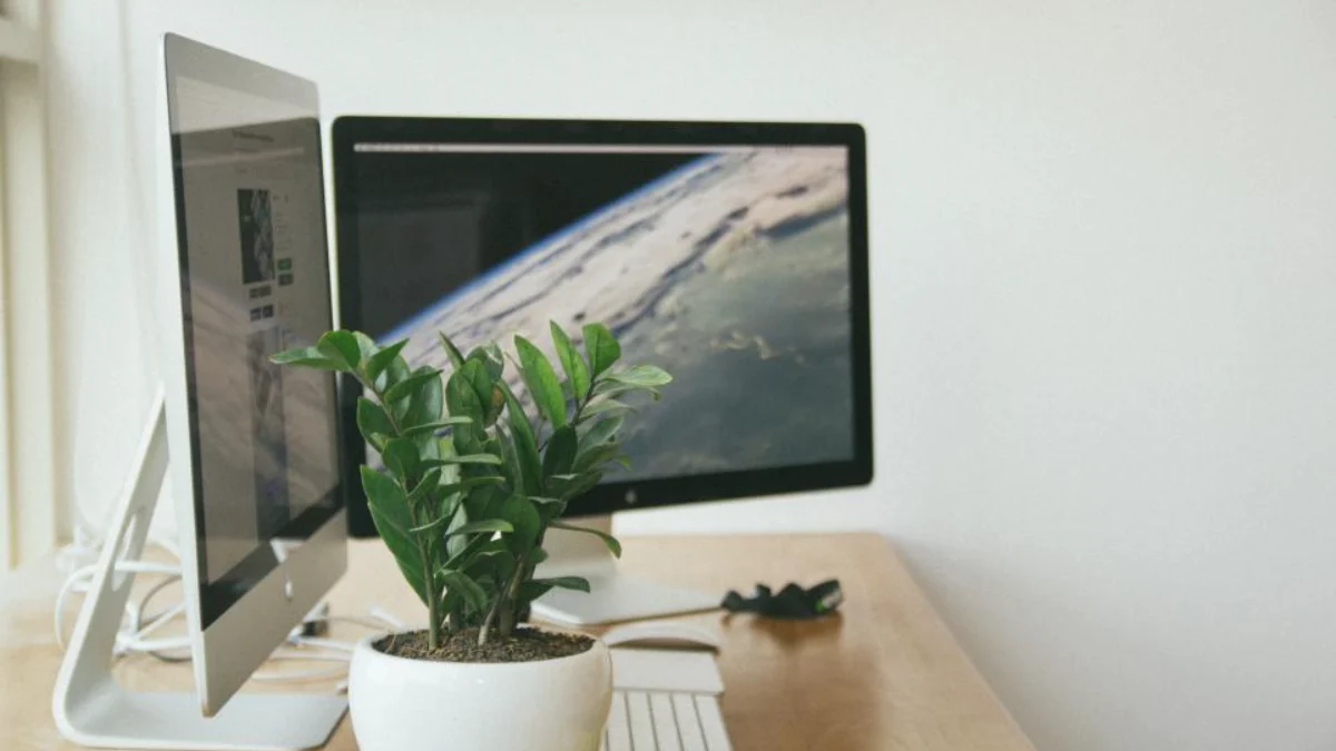 An external display raised to eye level next to a laptop in a minimalist remote work setup