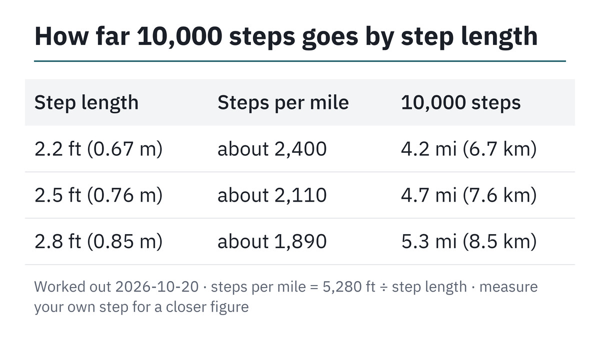 Steps to miles by step length for 10,000 steps a day