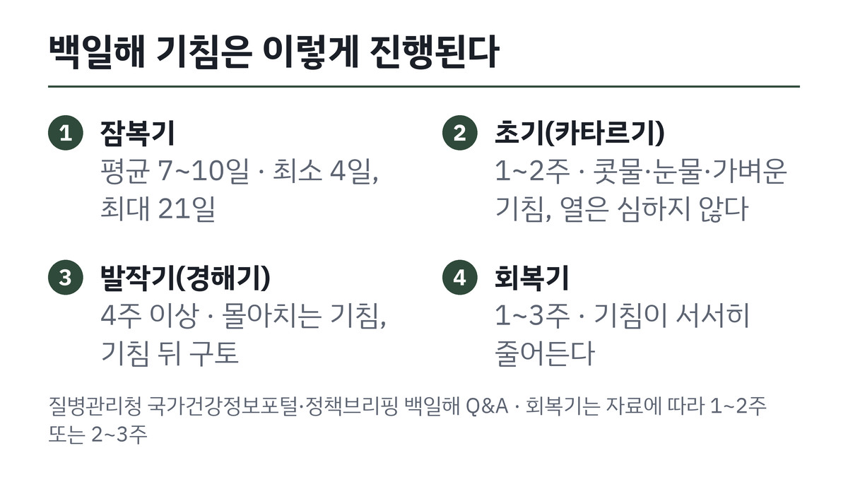 성인 백일해 증상 기침 3단계 진행 순서와 기간