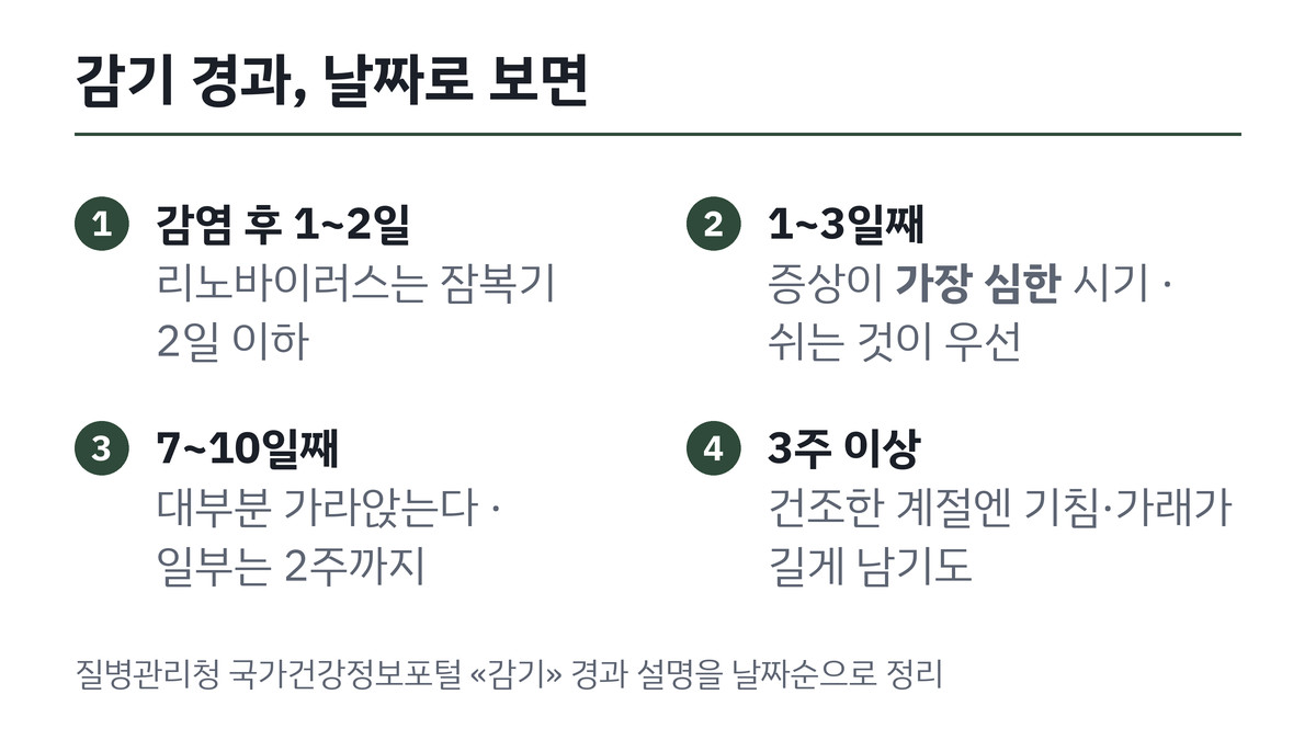 감기 증상이 시작된 날부터 낫기까지 날짜별 경과 단계