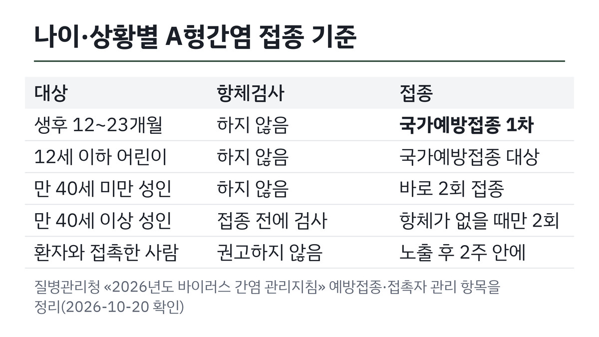 나이와 상황별 A형간염 항체검사와 접종 기준 표